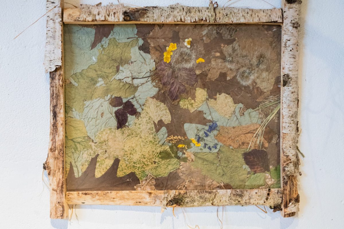 2 Fotograaf Jente Waerzeggers