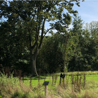 qiao 49m2 breda qiao 49m2 breda